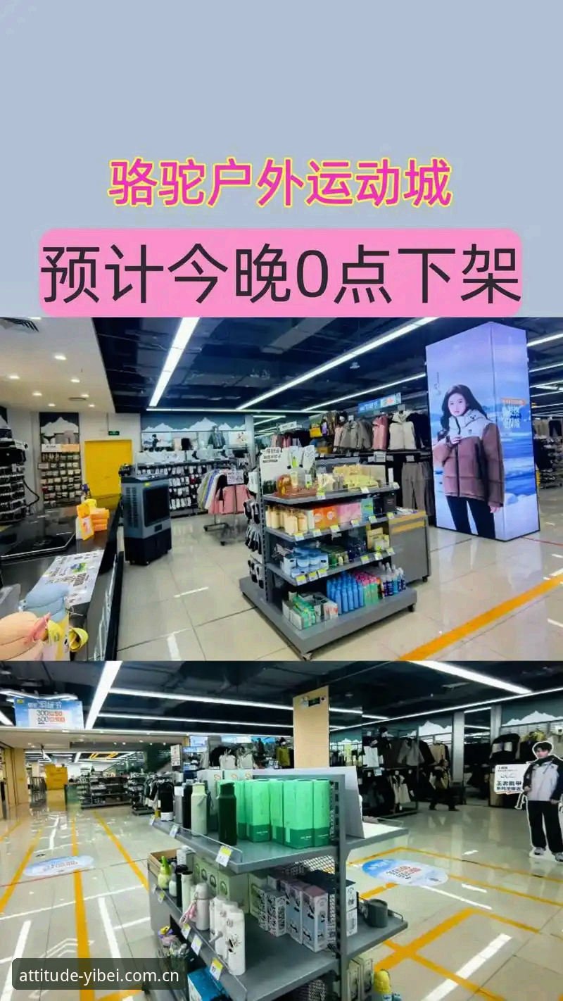 让运动更有态度2025安卓版下载 运动软件换新装:掌握“让运动更有态度2025安卓版下载”的实用技巧